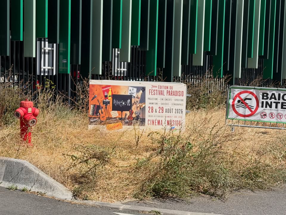Festival Paradisio