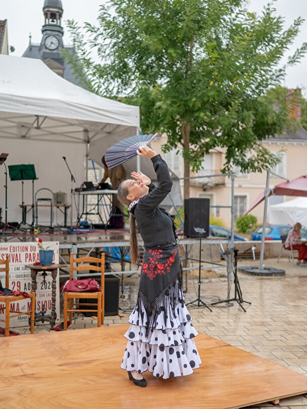 Festival Paradisio
